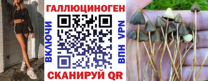 darknet официальный сайт  Гагарин  Галлюциногенные грибы мухоморы 
