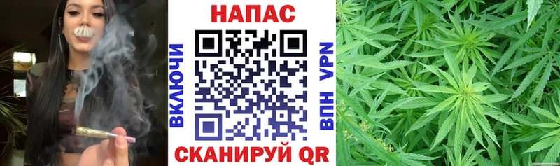 Бошки Шишки OG Kush  закладки  Гагарин 